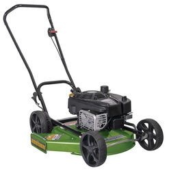 Masport President 530 I/C 21" Cut Side Throw Mower